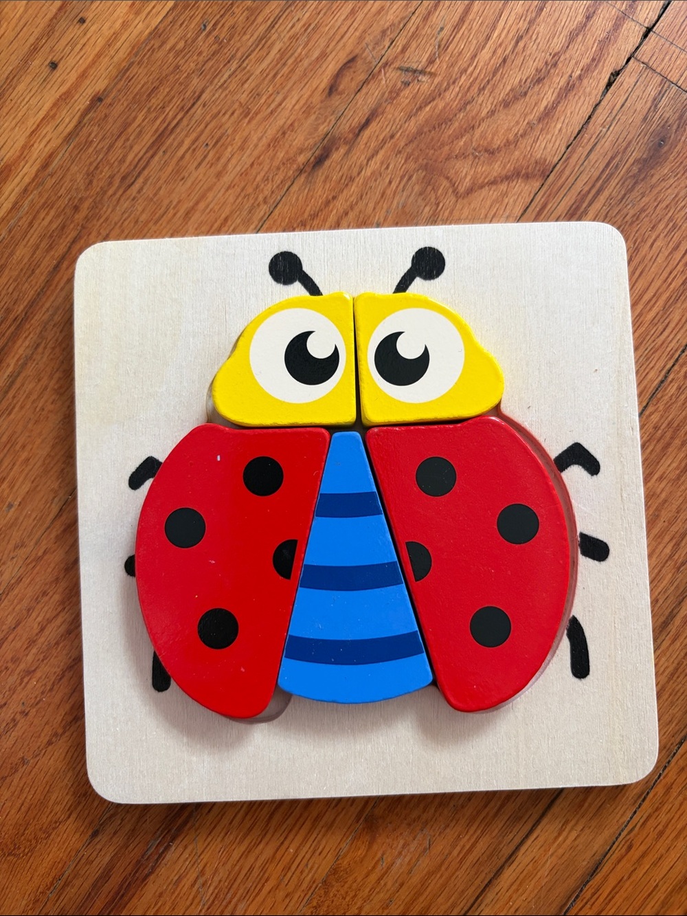 Wooden Ladybug Puzzle Toy in Red, Blue & Yellow